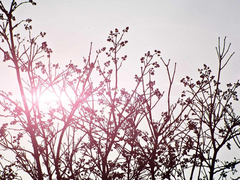 sudoku chain solving screenshot 6