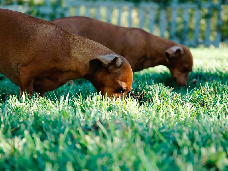 sudoku keyboard shortcuts